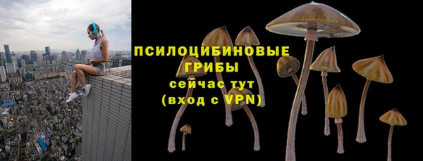 мет Абаза