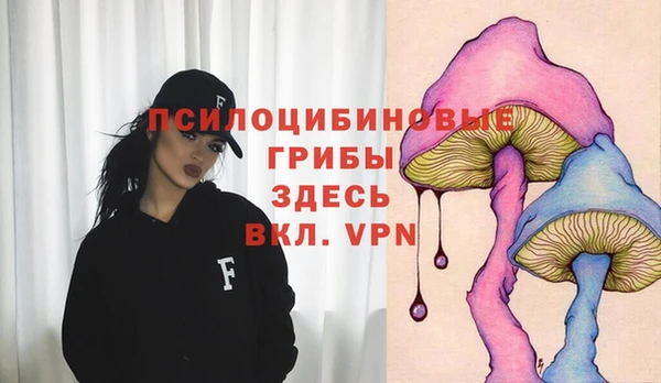 герыч Няндома