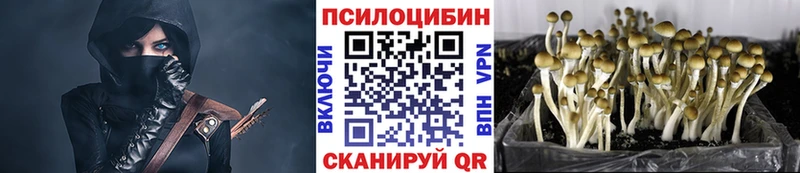 KRAKEN рабочий сайт  Тверь  Псилоцибиновые грибы Psilocybine cubensis 